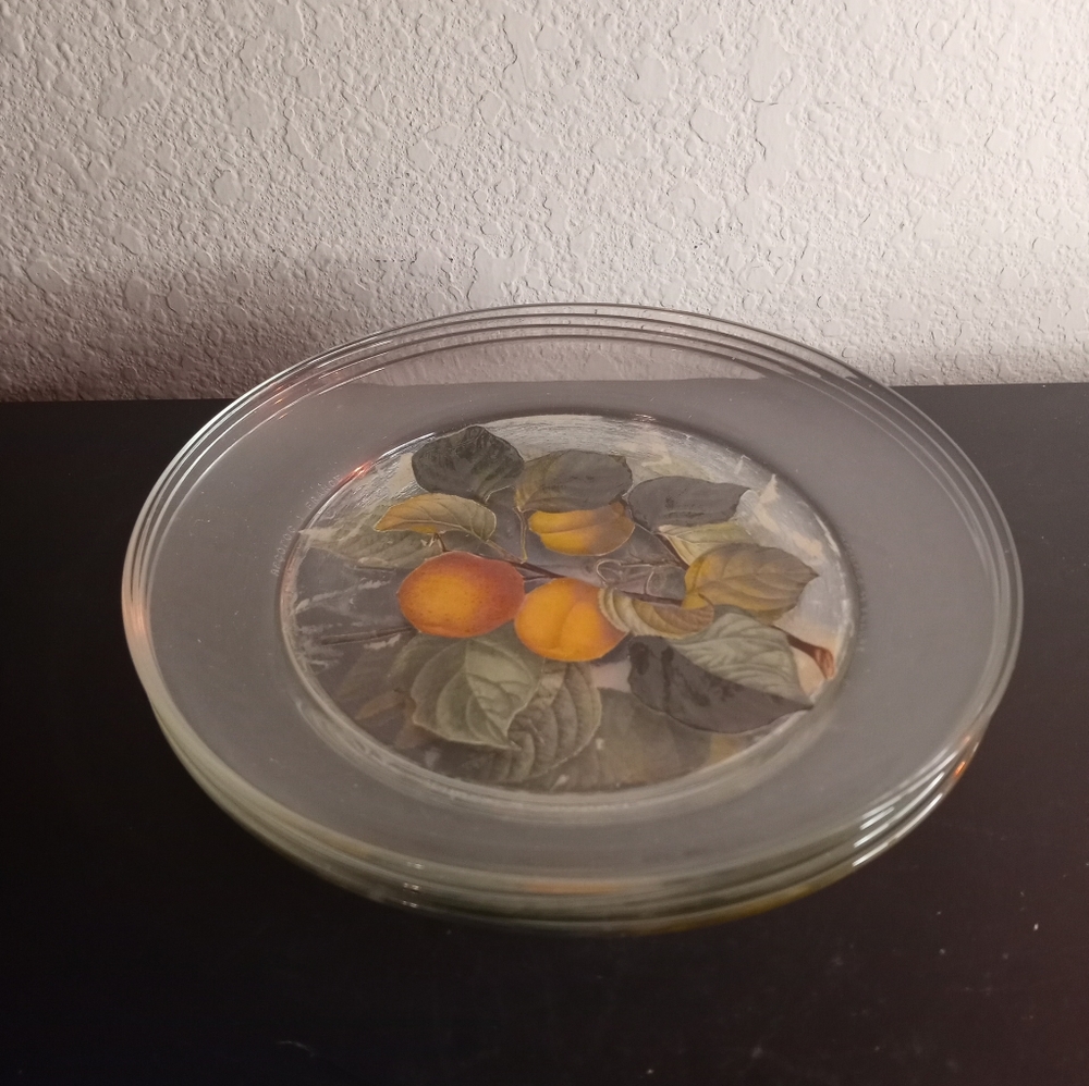 GORGEOUS Arcoroc France 8" Painted Clear Plates Set of 4.